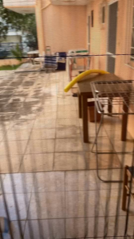 Nea Flogita