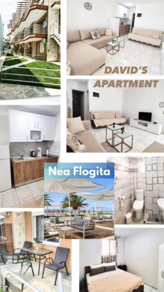 Nea Flogita